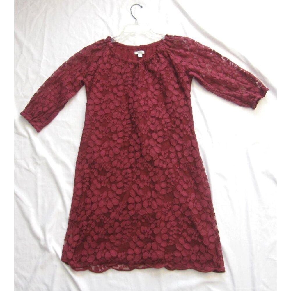 Garnet Hill Dress Boho Lace Whimsigoth Corquette Fairy Women Midi Sz 10 (WB492)